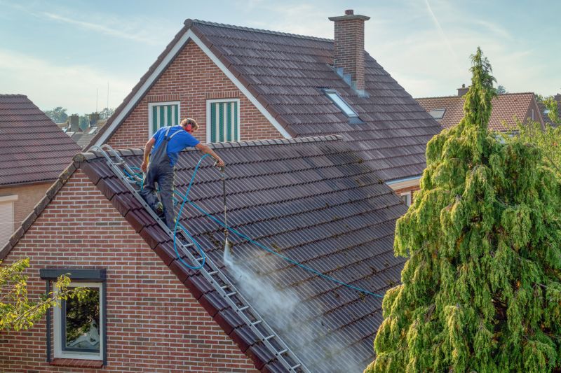 Residential Roof Cleaning