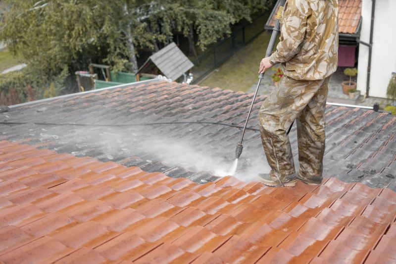Residential Roof Cleaning