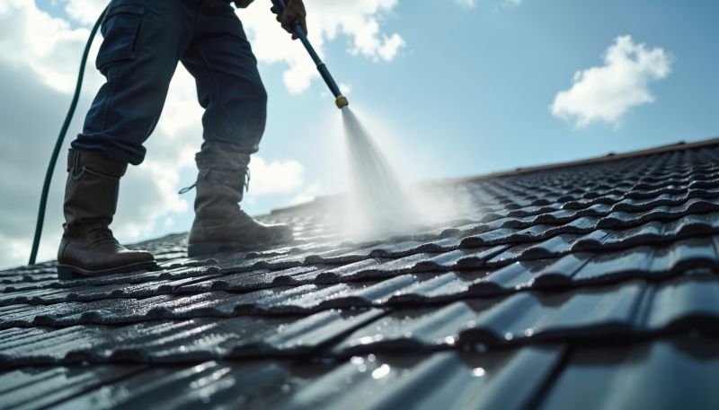 Residential Roof Cleaning