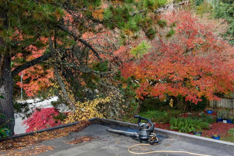 Fall Preparation for Roofs