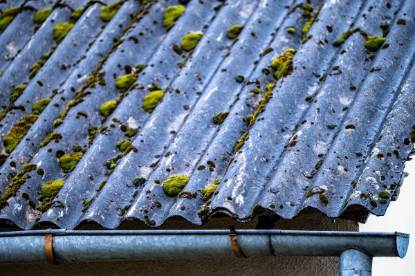 Metal Roof Moss Removal