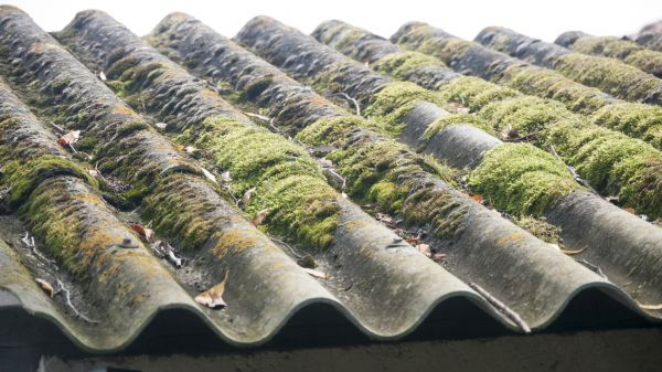 Metal Roof Algae Treatment